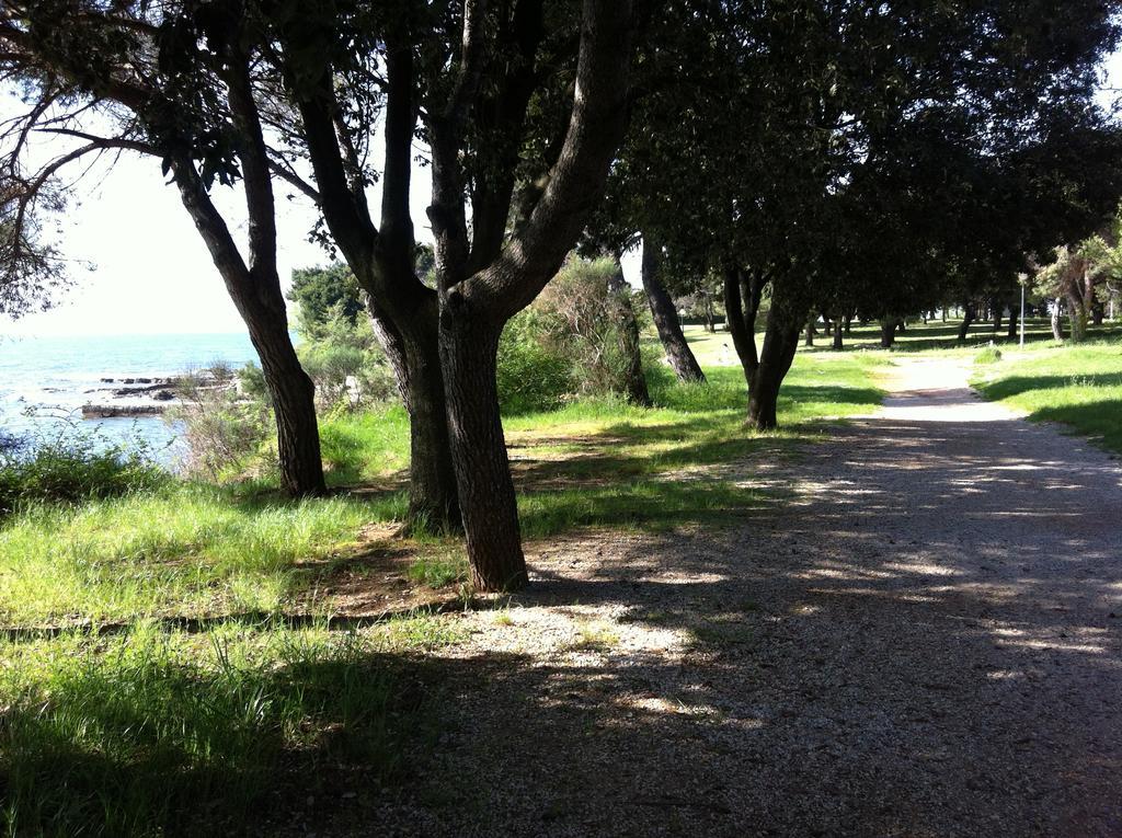 Apartments Salvore Crveni Vrh Εξωτερικό φωτογραφία